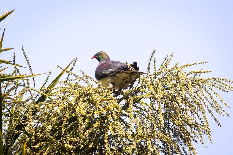 Photo of property in 28 Valley Road, Cashmere, Christchurch, 8022