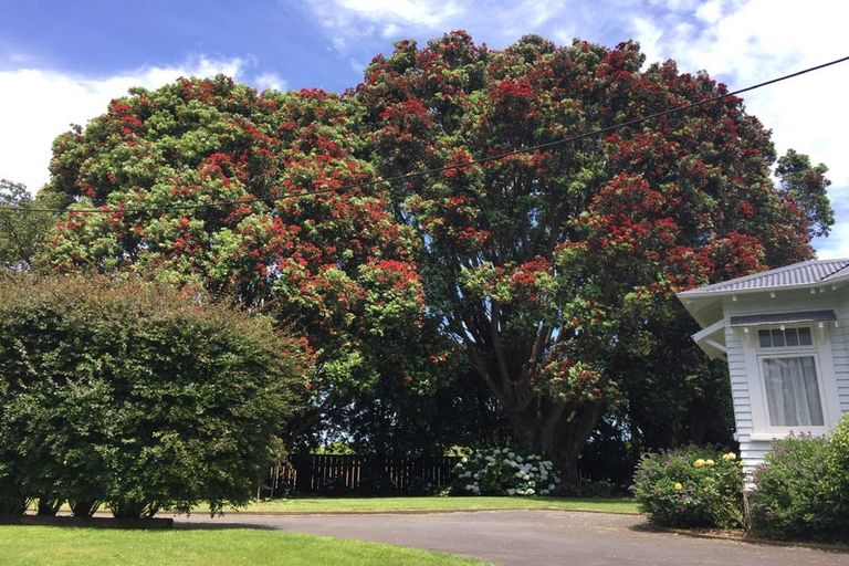 Photo of property in 16 Fairfield Road, Hawera, 4610