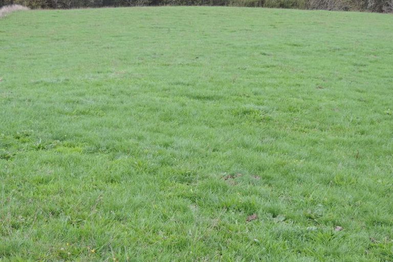 Photo of property in 669 Island Block Road, Island Block, Te Kauwhata, 3782