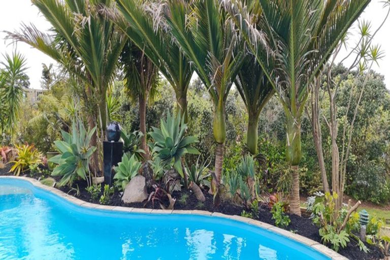 Photo of property in 43 Sharon Road, Waiake, Auckland, 0630