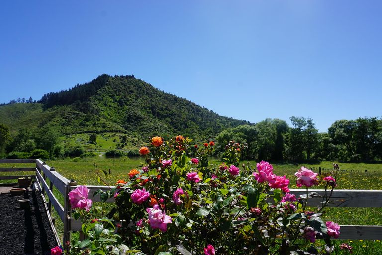 Photo of property in 748 Hakarimata Road, Huntly, 3771