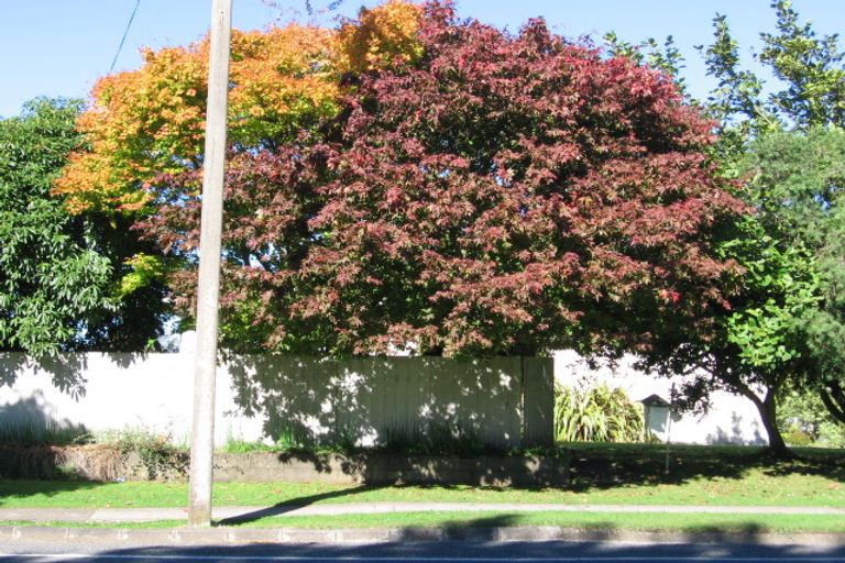 Photo of property in 102 Arapuni Street, Putaruru, 3411