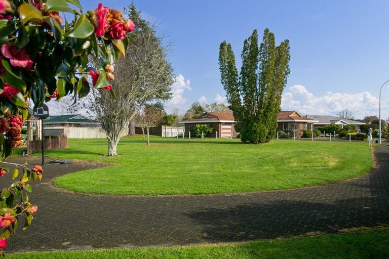 Photo of property in 12 Conrad Place, Leamington, Cambridge, 3432