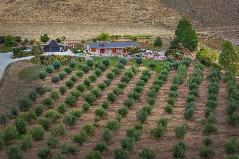 Photo of property in 58 Thomsons Gorge Road, Tarras, Cromwell, 9383