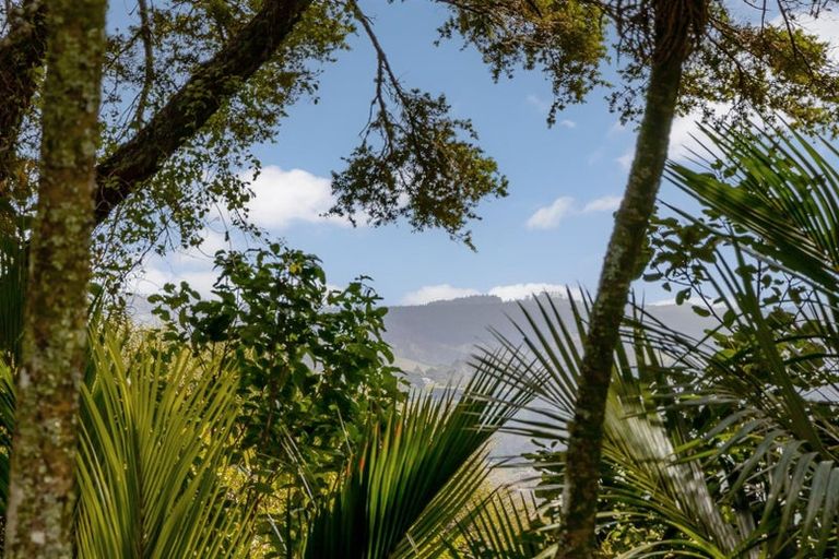 Photo of property in 81 Taylor Road, Waimauku, 0882