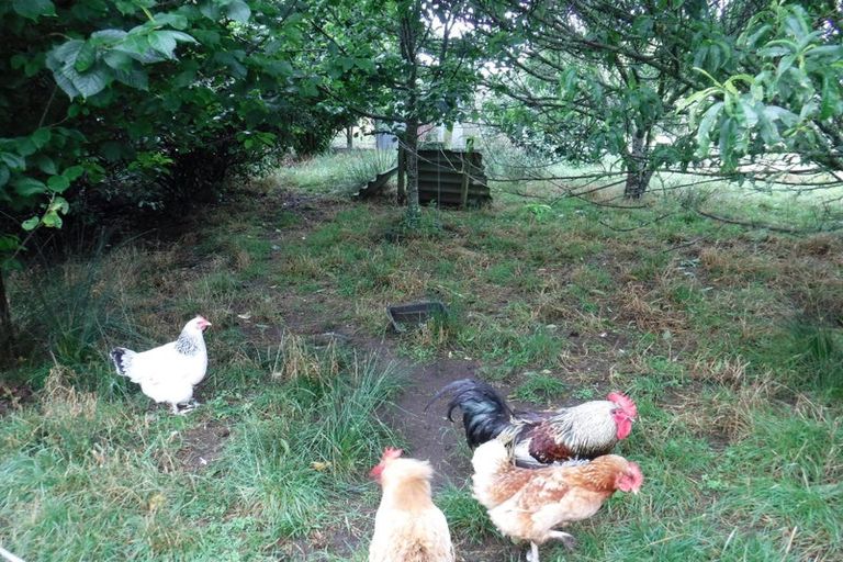 Photo of property in 883 Te Akau Road, Te Akau, Ngaruawahia, 3793