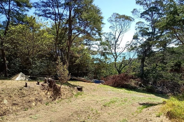 Photo of property in 14 Pohue Creek Road, Waiomu, Thames, 3575