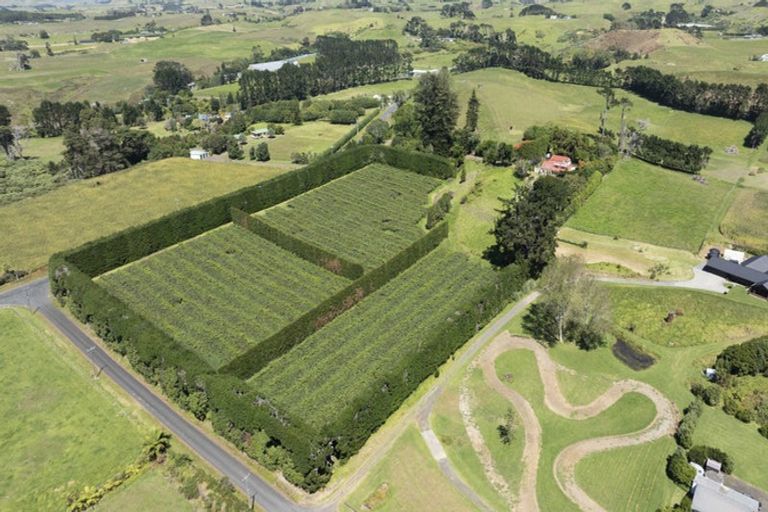 Photo of property in 250 Taurangaruru Road, Karioitahi, Waiuku, 2683