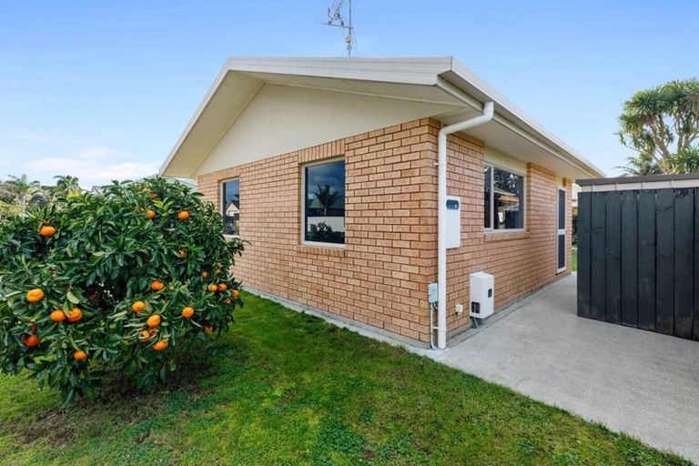Photo of property in 15 Pembroke Drive, Bethlehem, Tauranga, 3110