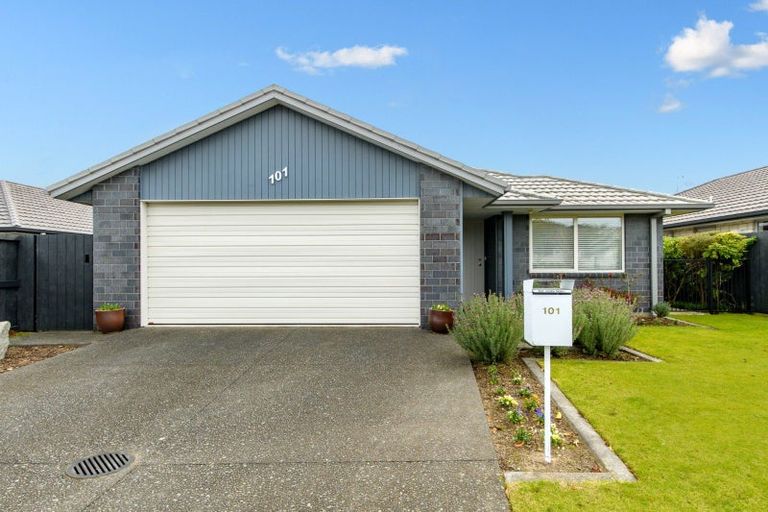 Photo of property in 101 Landing Drive, Pyes Pa, Tauranga, 3112