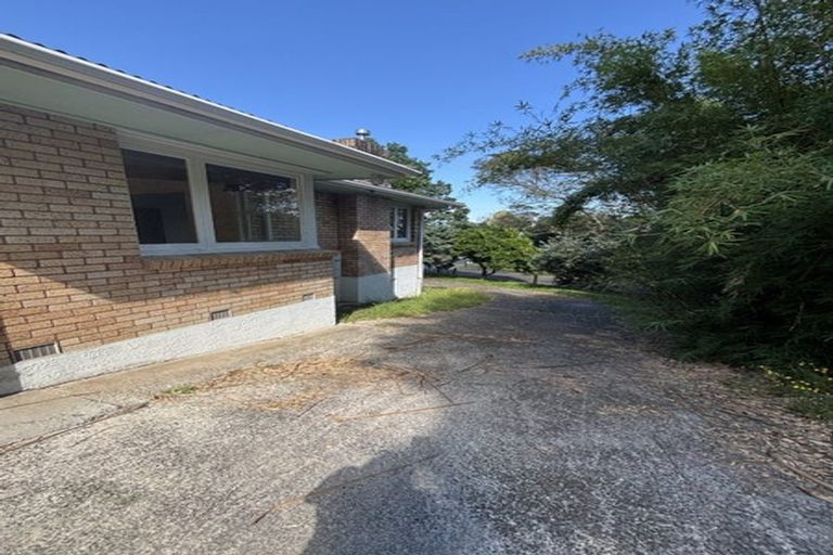 Photo of property in 20 Helena Road, Hillcrest, Hamilton, 3216