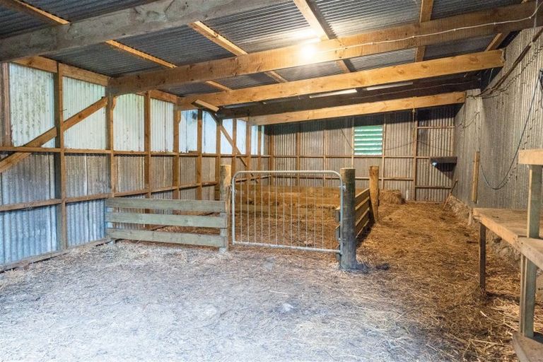 Photo of property in 46 Forest View Road, Te Kamo, Kamo, 0185