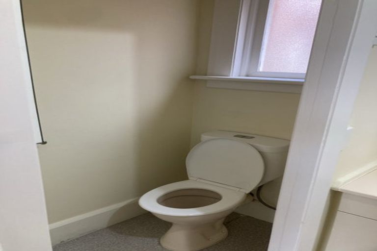 Photo of property in 34 Tweed Street, Roslyn, Dunedin, 9010