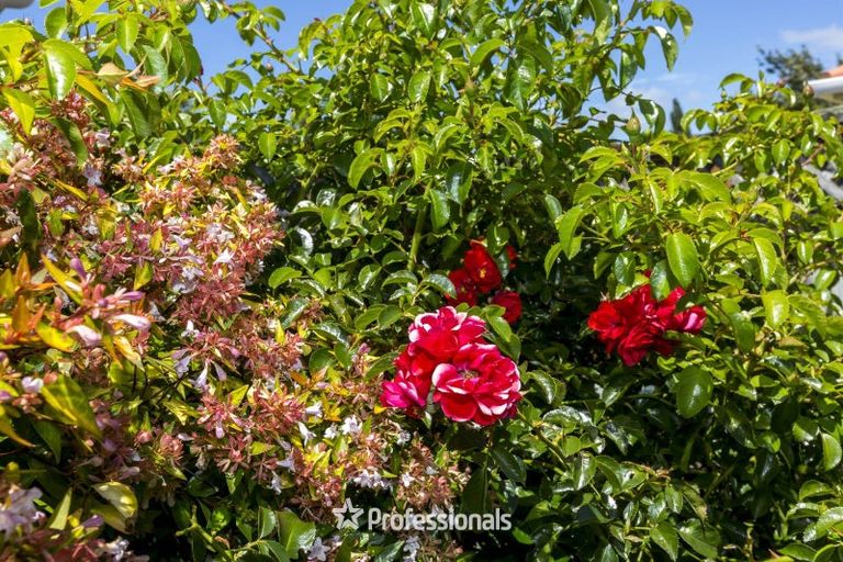 Photo of property in 8 Carlow Grove, Birchville, Upper Hutt, 5018