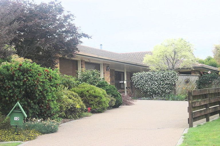 Photo of property in 12 Randell Place, Te Puke, 3119