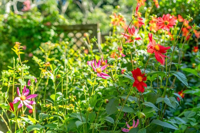 Photo of property in 119 Paekakariki Hill Road, Pauatahanui, Porirua, 5381