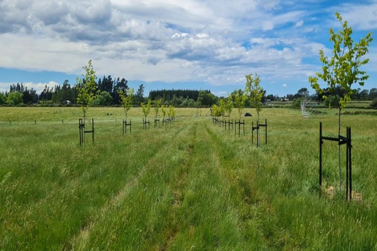 Photo of property in 7 Skevington Lane, Sefton, Rangiora, 7477