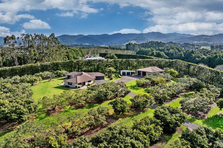 Photo of property in 237b Busby Road, Tahawai, Katikati, 3170