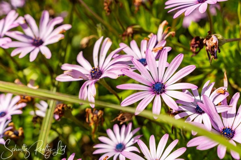 Photo of property in 70 Jellicoe Road, Ruawai, 0530