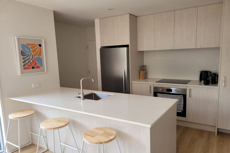 Photo of property in 17e Dickens Street, Addington, Christchurch, 8024