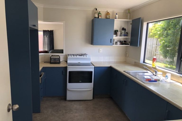 Photo of property in 17a Brocas Avenue, Hillcrest, Hamilton, 3216