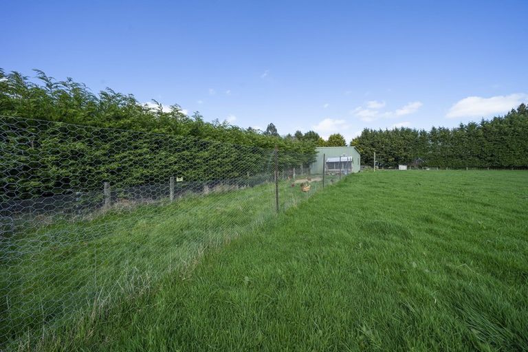 Photo of property in 379 Drysdale Road, Myross Bush, Invercargill, 9872