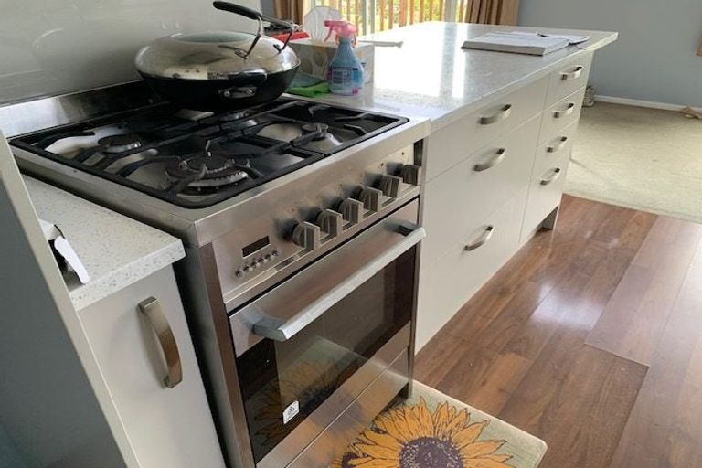 Photo of property in 16 Acacia Road, Torbay, Auckland, 0632