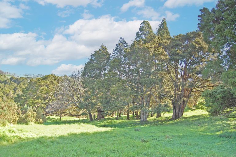 Photo of property in 36 Tawa Avenue, Kaiwaka, 0573