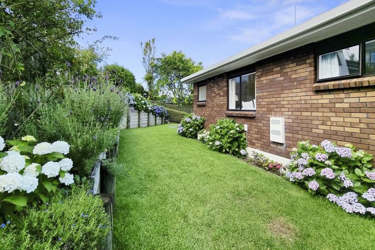 Photo of property in 2/51 Nigel Road, Browns Bay, Auckland, 0630