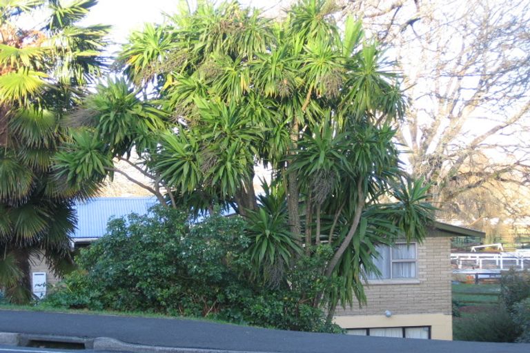 Photo of property in 173 Tuhikaramea Road, Dinsdale, Hamilton, 3204