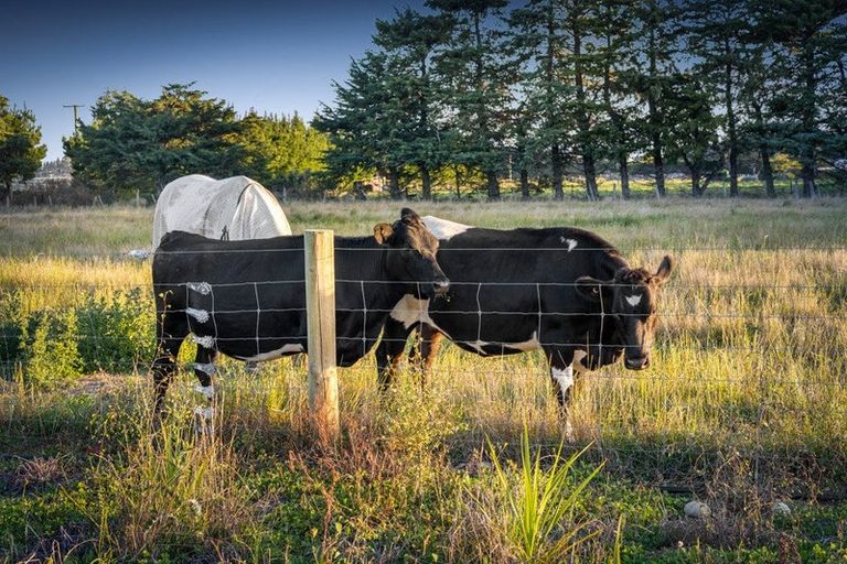 Photo of property in 527 Browns Rock Road, Burnt Hill, Oxford, 7495