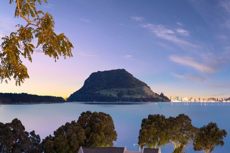 Photo of property in 9 Levers Road, Matua, Tauranga, 3110