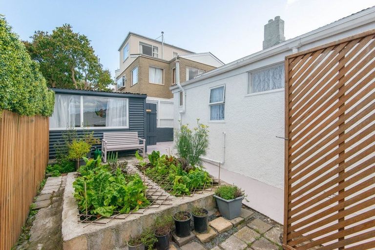 Photo of property in 6 Mccrea Street, Mornington, Dunedin, 9011