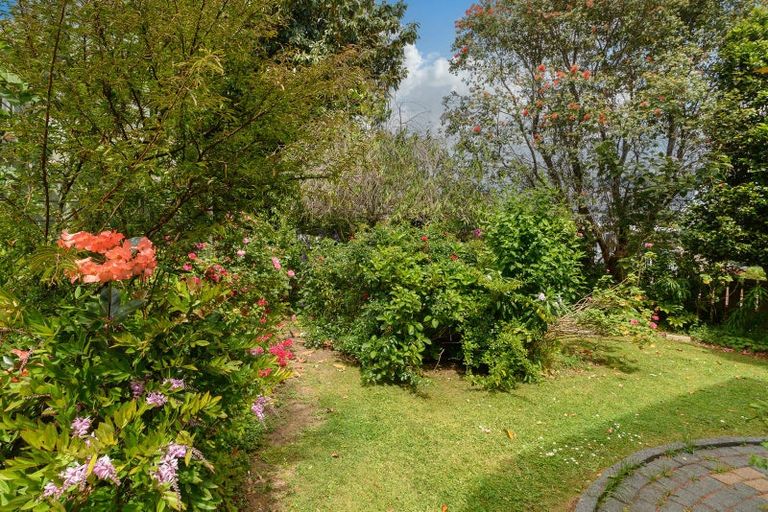Photo of property in 133 Hinewa Road, Otumoetai, Tauranga, 3110