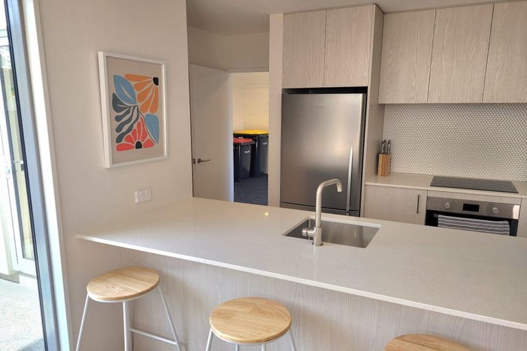 Photo of property in 17e Dickens Street, Addington, Christchurch, 8024