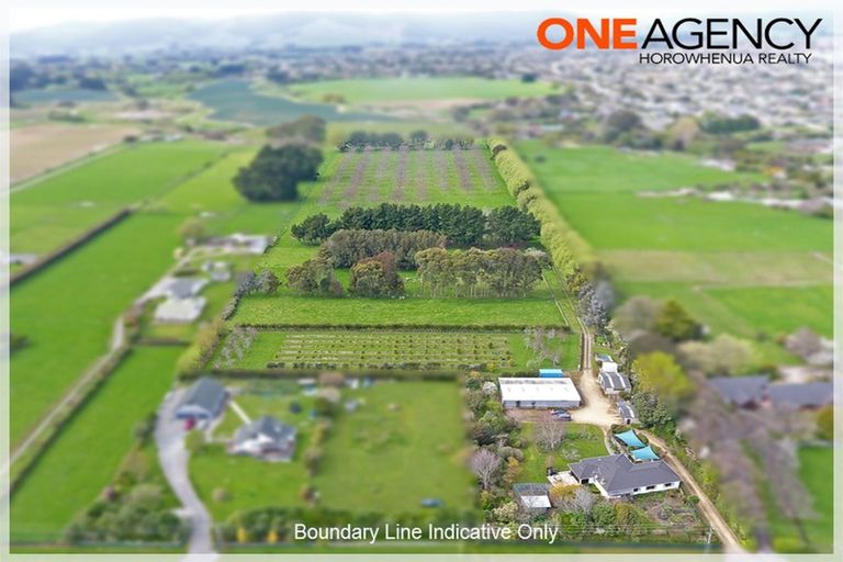 Photo of property in 214 Kawiu Road, Levin, 5510