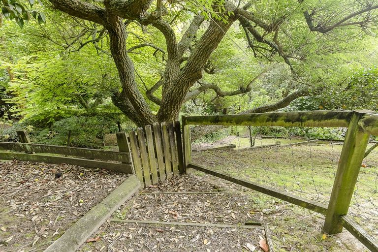 Photo of property in 80 Darraghs Road, Brookfield, Tauranga, 3110