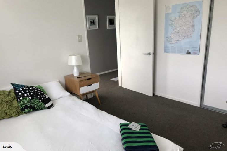 Photo of property in 161 Canon Street, Edgeware, Christchurch, 8013