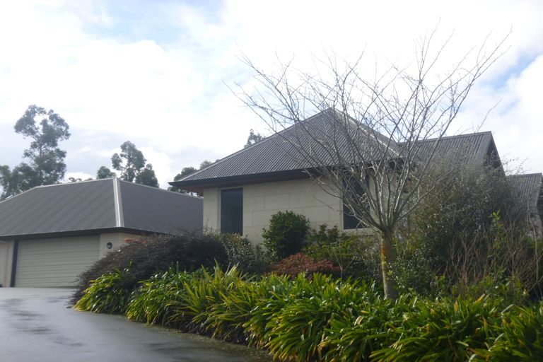 Photo of property in 77 Ribbonwood Road, Geraldine Downs, Geraldine, 7991