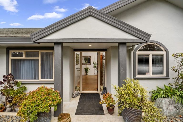 Photo of property in 1 Guildford Place, Bethlehem, Tauranga, 3110