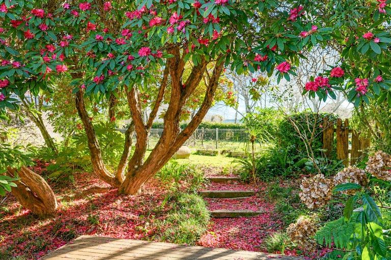 Photo of property in 133 Bollard Road, Tamahere, Hamilton, 3283