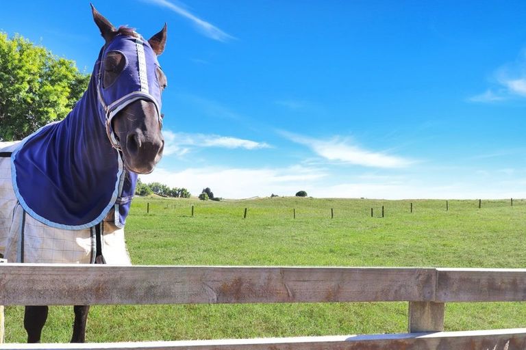 Photo of property in 95 Ohinepanea Road, Pukehina, Te Puke, 3186