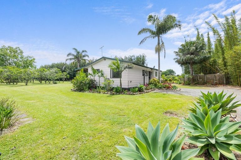 Photo of property in 15 Insley Street, Mangawhai, 0505