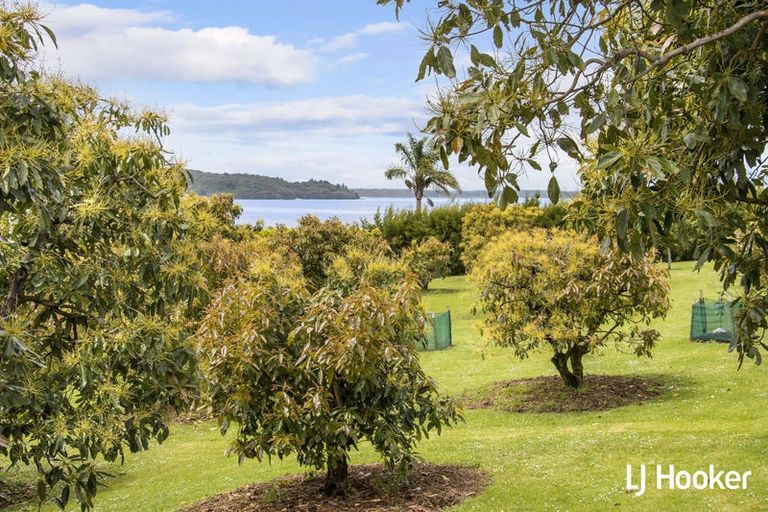 Photo of property in 117 Athenree Road, Athenree, Katikati, 3177