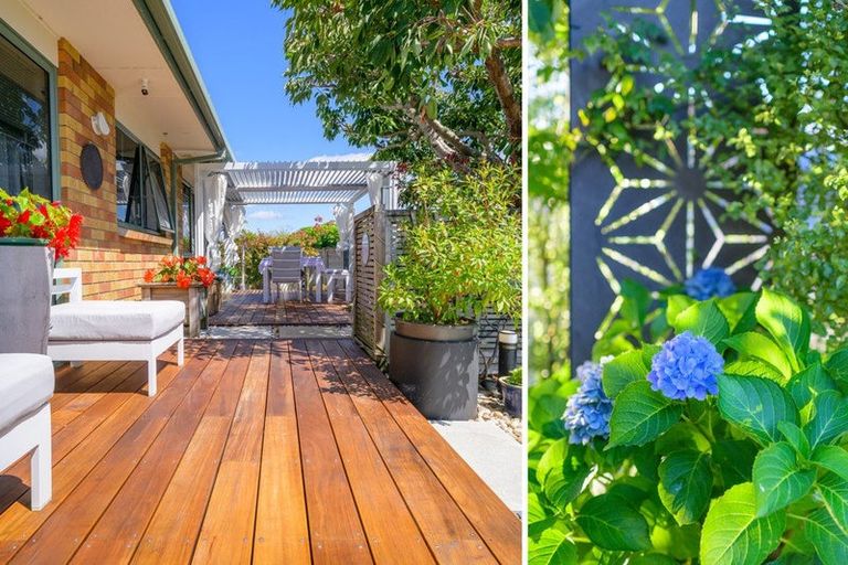 Photo of property in 45 Stephens Place, Hairini, Tauranga, 3112