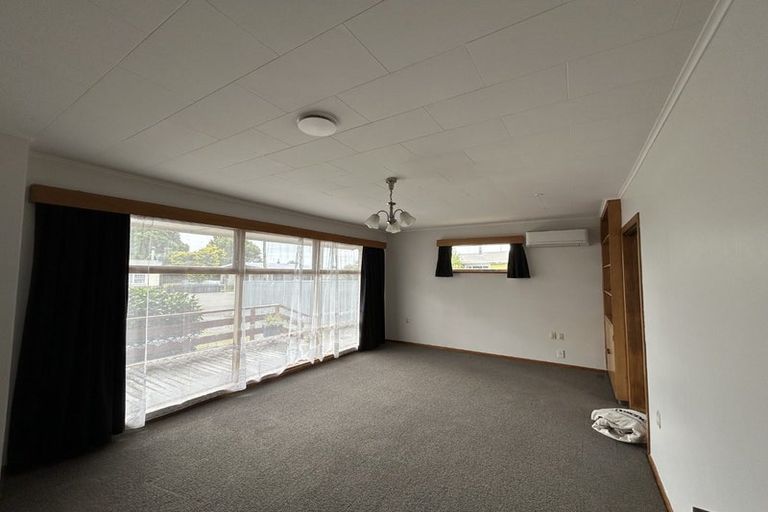 Photo of property in 6 Ascot Street, Levin, 5510