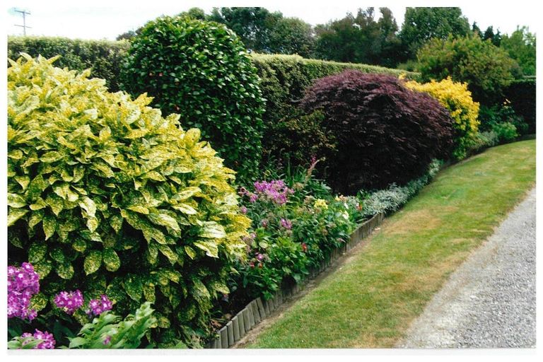 Photo of property in 8 Bowen Street, Woodville, 4920