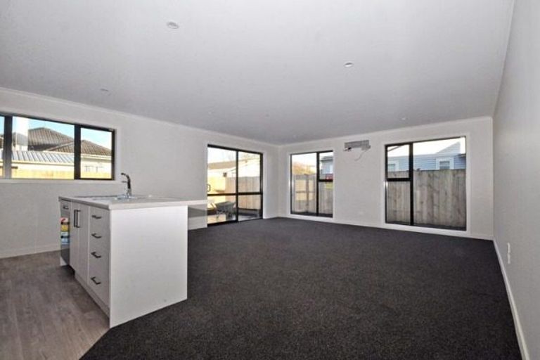 Photo of property in 52b Alfred Street, Fairfield, Hamilton, 3214