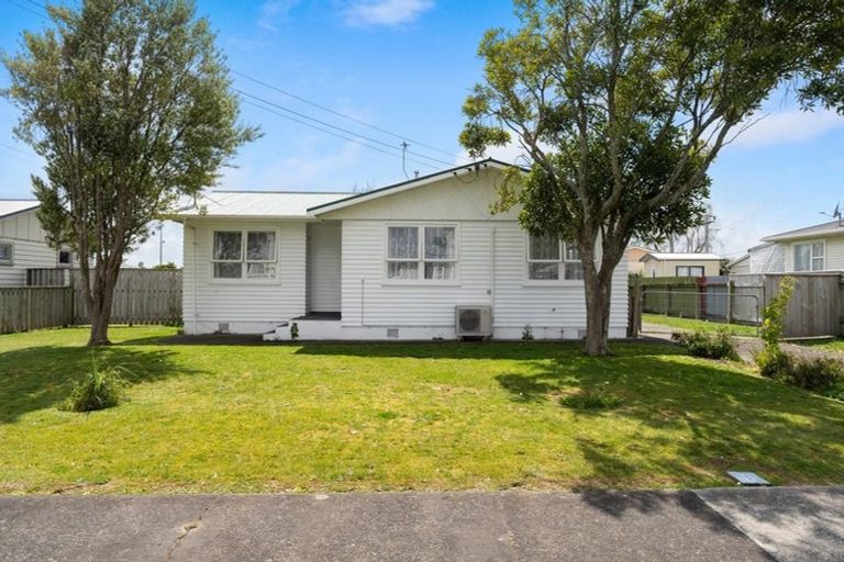 Photo of property in 21 Cornwall Street, Levin, 5510