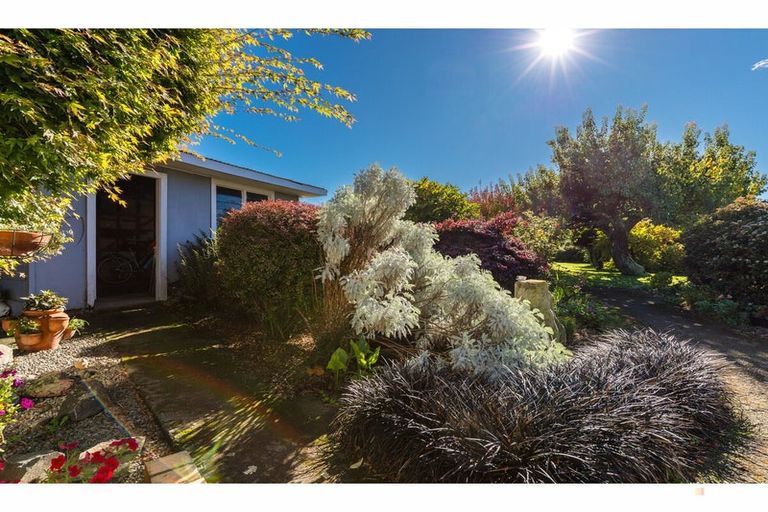 Photo of property in 15 Rugby Street, Waimate, 7924